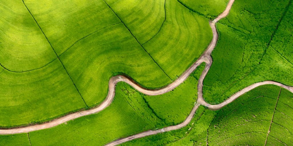 Services Header 1024x512