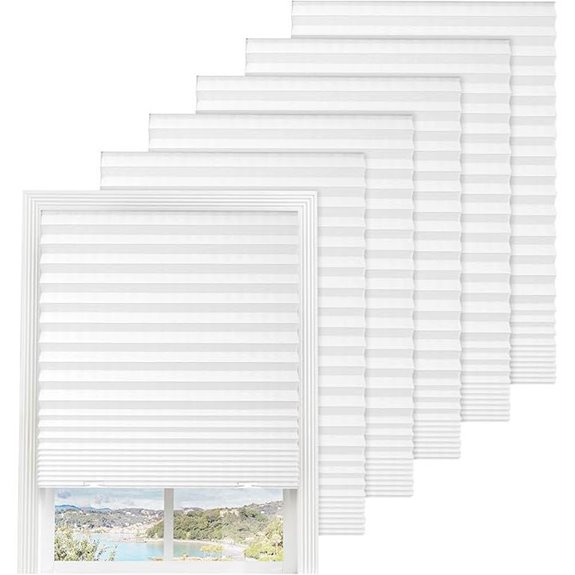 6-Pack Pleated Blackout Blinds with Clips (36x72)