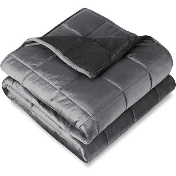Bare Home 10lb Weighted Blanket (Twin/Full) Grey
