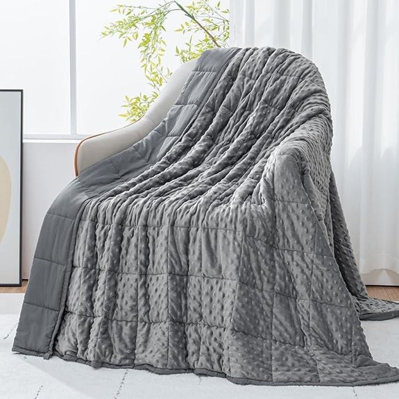 Cottonblue 20lb Weighted Blanket for Adults Grey
