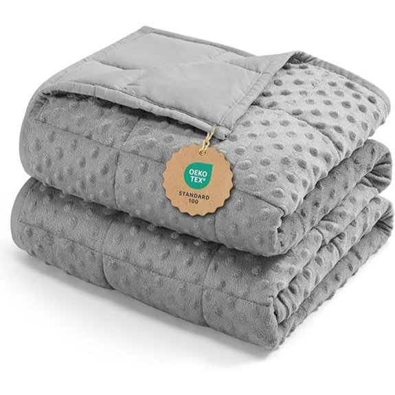 Kivik 12lb Minky Weighted Blanket Twin Size Grey