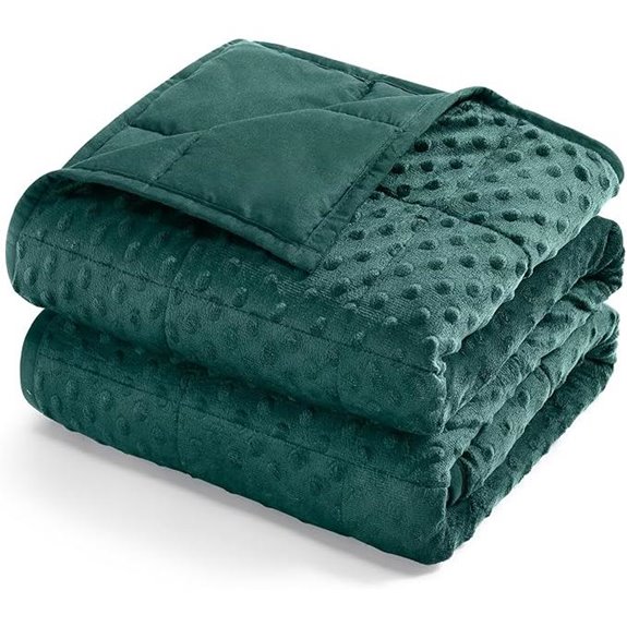 Kivik 15lb Breathable Minky Dot Weighted Blanket