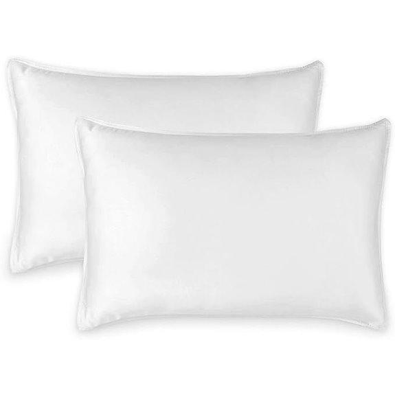 Pure Bamboo Queen Pillowcases Soft Cooling 2 Pack