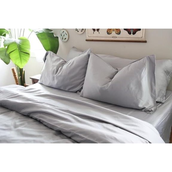 Grey Queen Bamboo Rayon Sheet Set (4 Pieces)