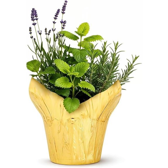 Aromatic Herb Combo in Deco Cover (Lavender Rosemary Lemon Balm)