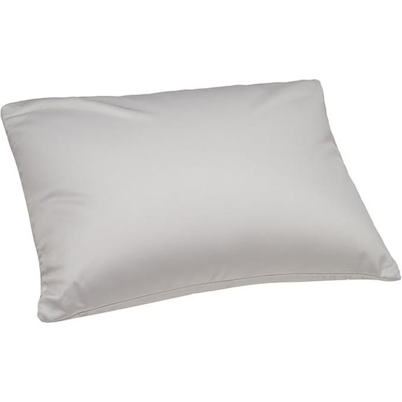 Microbead Decorative Throw Pillow with Removable Cover