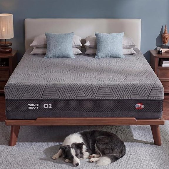 Queen Memory Foam Mattress with Cooling Gel