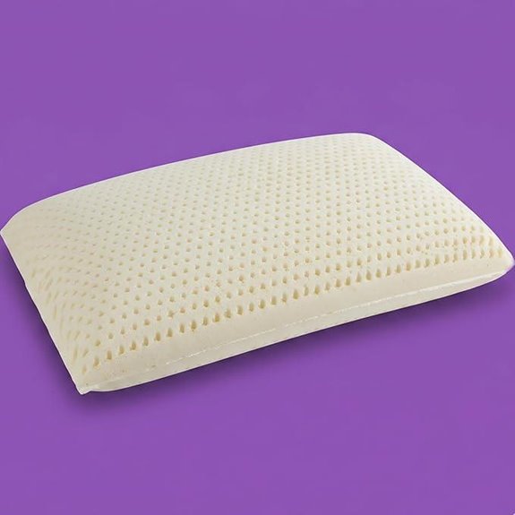 Artka Talalay Latex Sleeping Pillow (Queen Mid Loft)